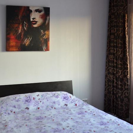 Vila Cu Trandafiri Cozy Apartments 2 Camere Bragadiru Buitenkant foto